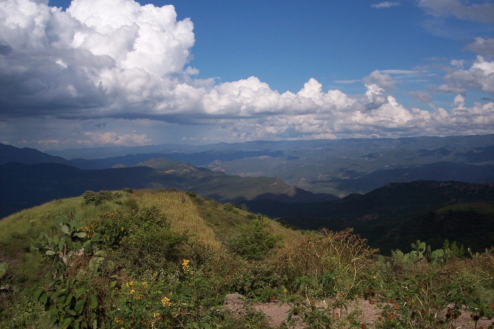 Río Sonora