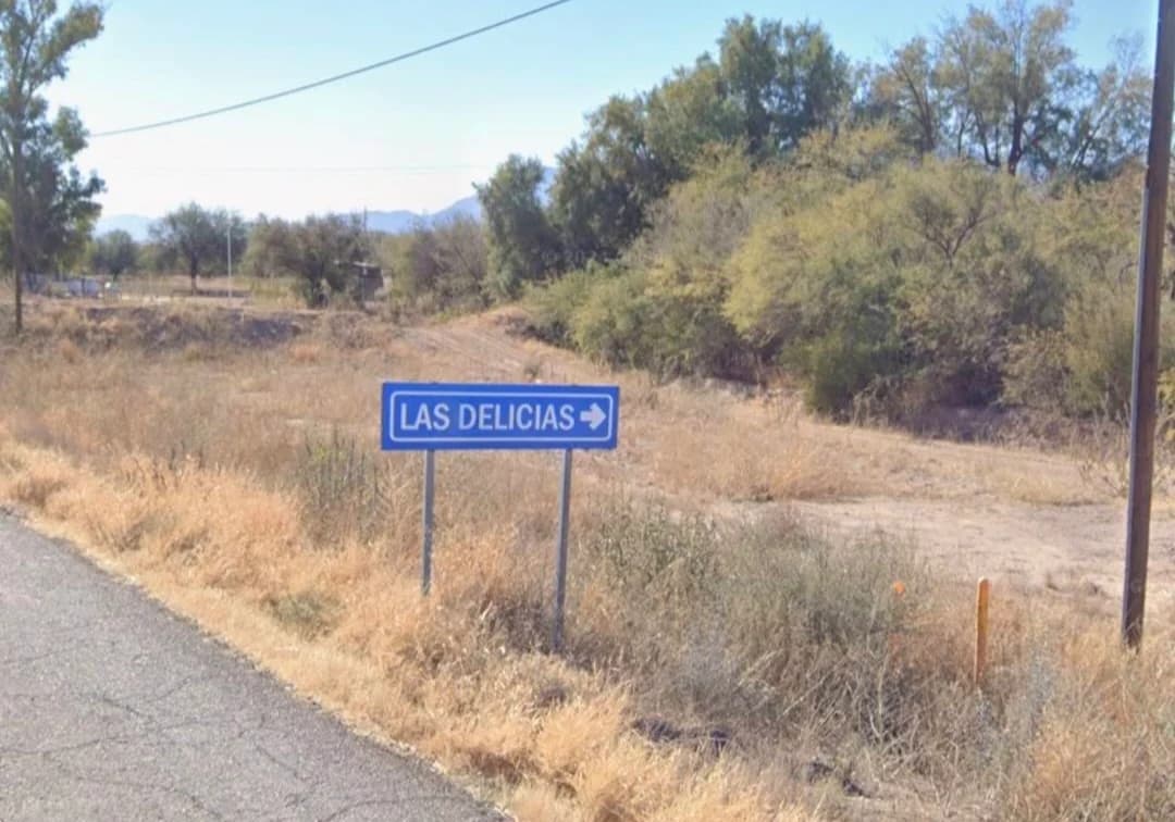 Ejido Las Delicias